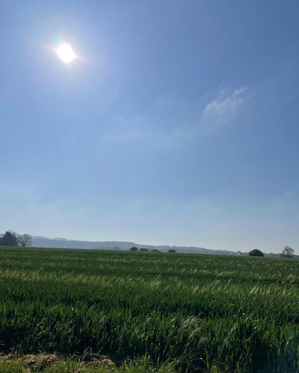 Yorkshire Wolds Photo of countryside and blue sky in East Riding of Yorkshire